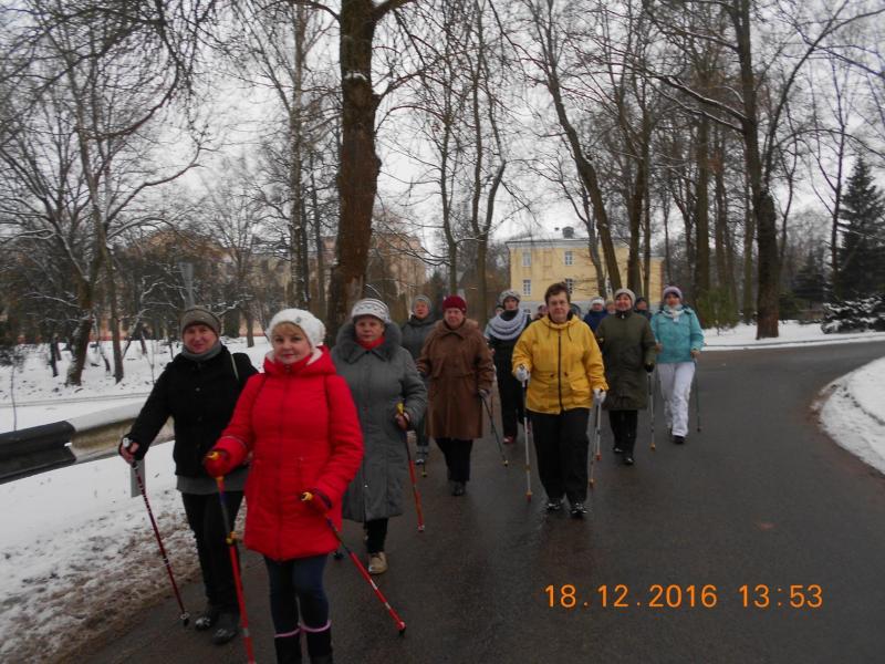 Благодаря волонтерам Белорусского Красного Креста в Горках появилась экотропа